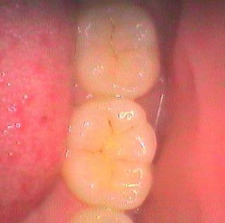 20130518180843-11.jpg