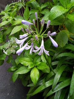 20130625_145647.jpg