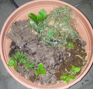 20130927_193135-2.jpg