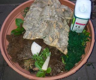 20130928_110017-2.jpg