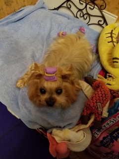20180106_203126.jpg