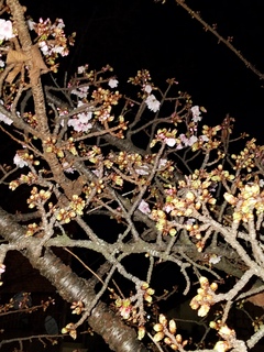 20190104_182311.jpg