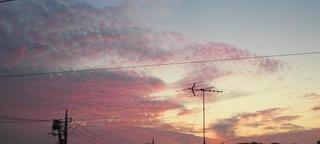 CIMG1228-2.jpg