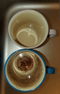 Screenshot_20191108-134004_Gallery.jpg