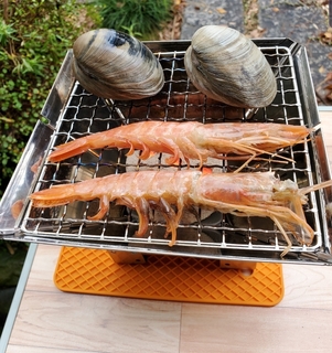 Screenshot_20191202-153703_Gallery.jpg